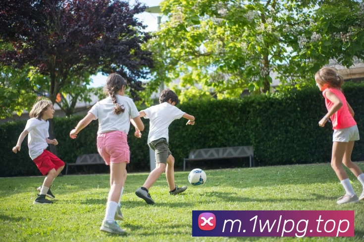 多媒体互动体验